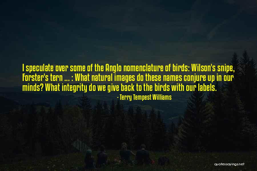 Settentrionale Trasporti Quotes By Terry Tempest Williams Settentrionale Trasporti Quotes By Terry Tempest Williams