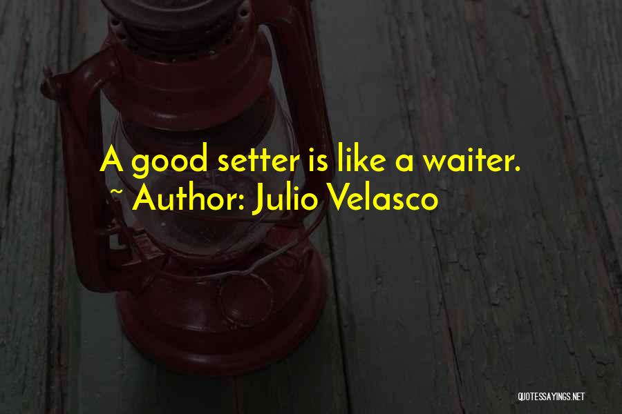 Setter Quotes By Julio Velasco