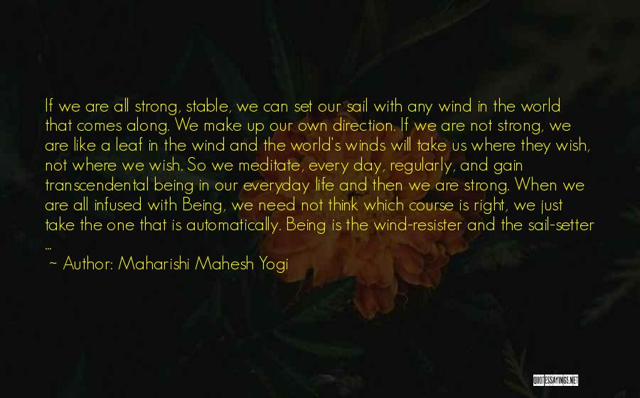 Setter Quotes By Maharishi Mahesh Yogi