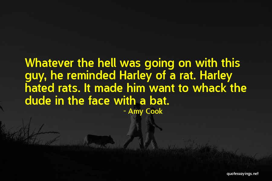 Setterberg Obituary Quotes By Amy Cook Setterberg Obituary Quotes By Amy Cook