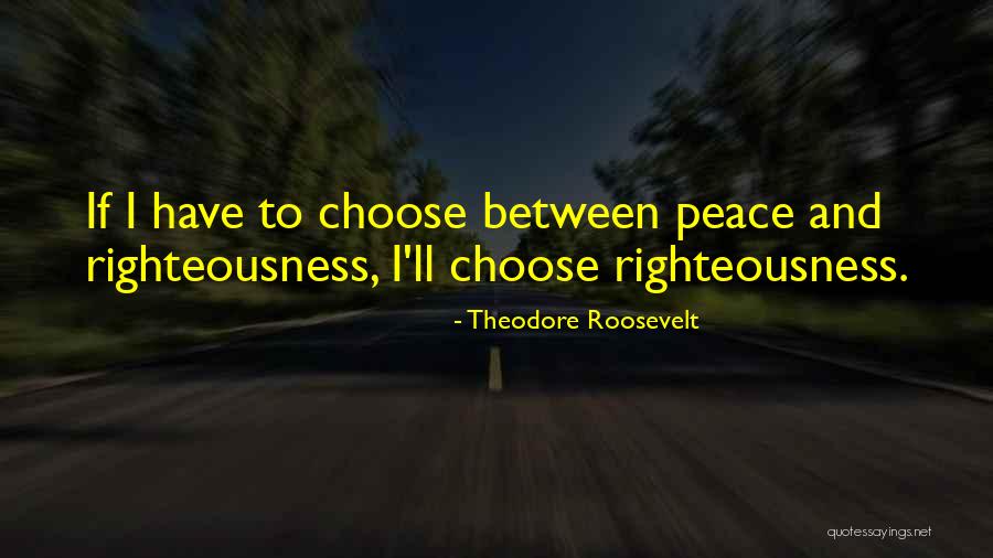 Settimios Quotes By Theodore Roosevelt Settimios Quotes By Theodore Roosevelt