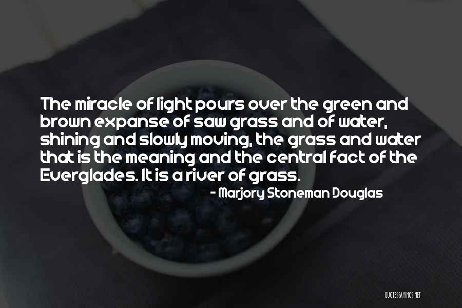 Setting A Table Of Hope Without Sitting Quotes By Marjory Stoneman Douglas Setting A Table Of Hope Without Sitting Quotes By Marjory Stoneman Douglas