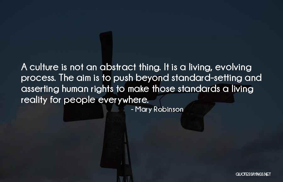 Setting Standards Quotes By Mary Robinson Setting Standards Quotes By Mary Robinson