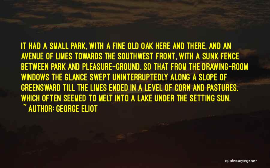 Setting Sun Quotes By George Eliot