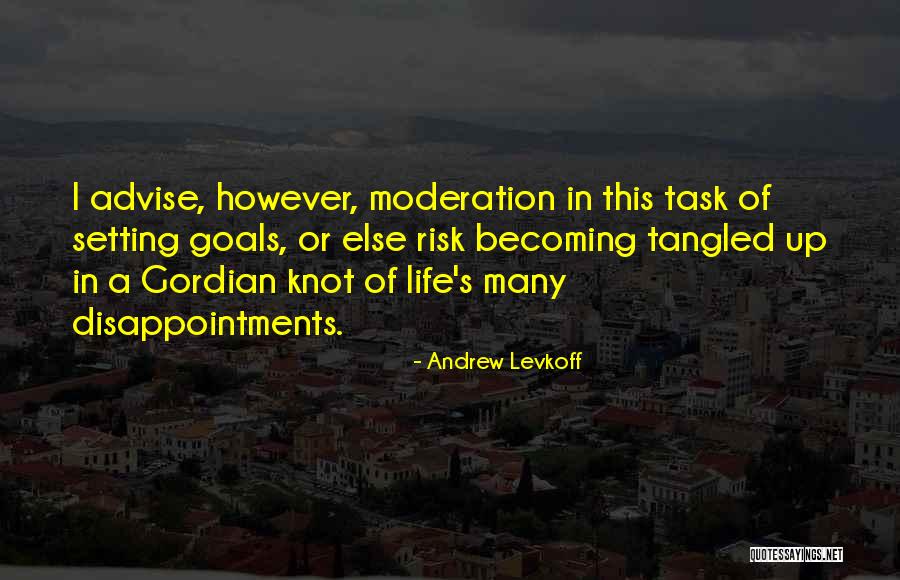 Setting Up Goals Quotes By Andrew Levkoff