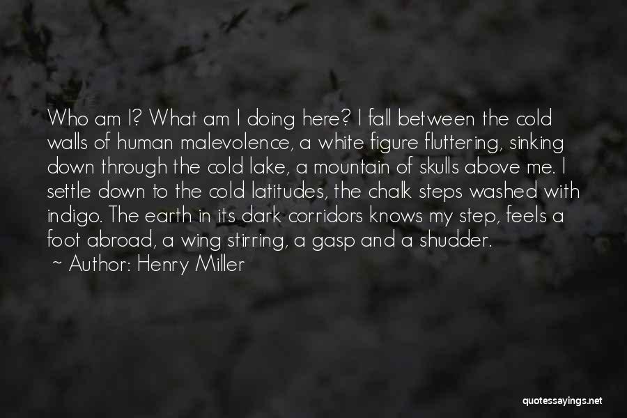 Settle Down With Me Quotes By Henry Miller