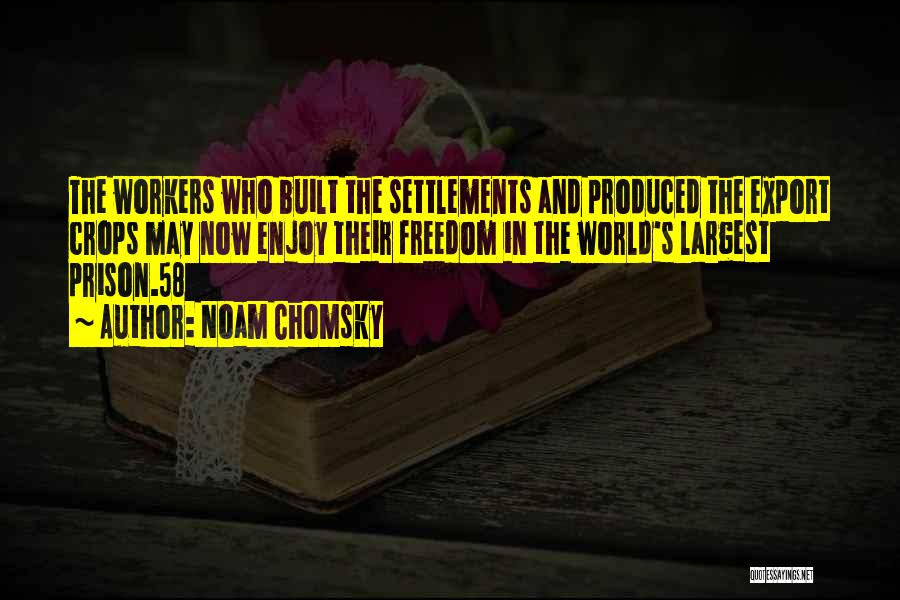 Settlements Quotes By Noam Chomsky