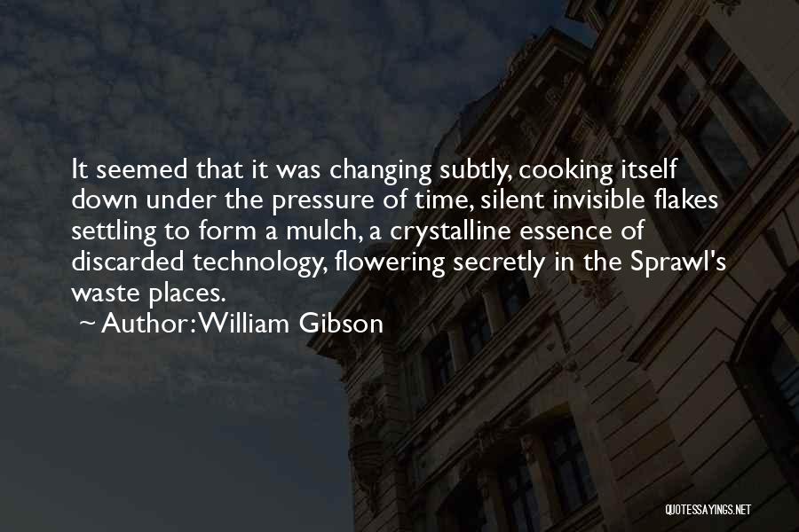 Settling Down For Less Quotes By William Gibson