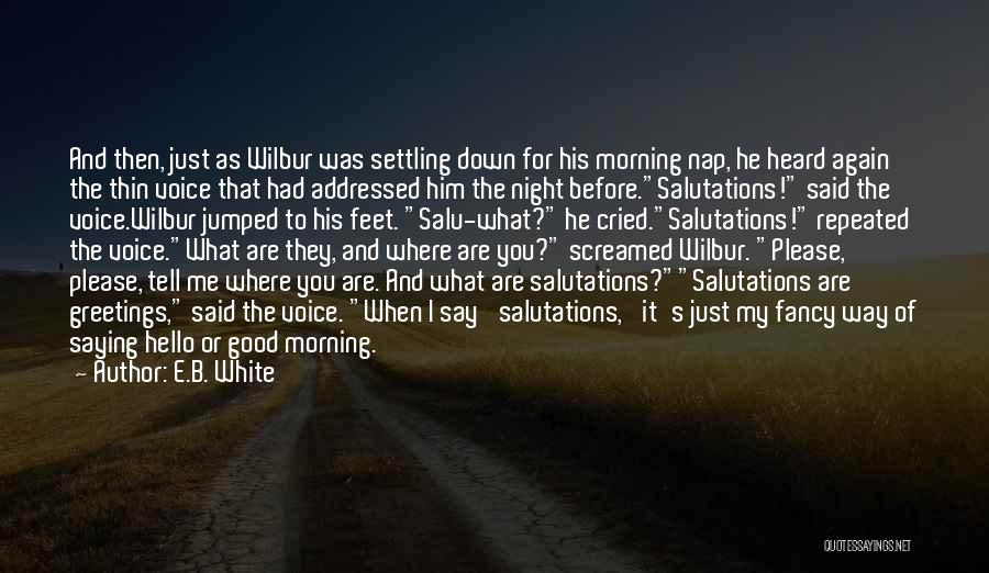 Settling Down Quotes By E.B. White