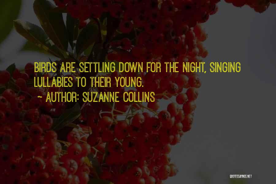 Settling Down Quotes By Suzanne Collins