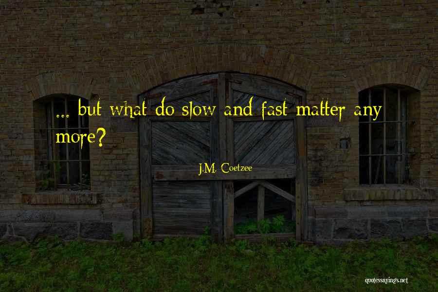 Setzler Mobile Quotes By J.M. Coetzee Setzler Mobile Quotes By J.M. Coetzee