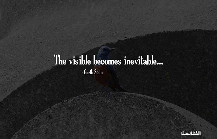 Seunarine Quotes By Garth Stein Seunarine Quotes By Garth Stein