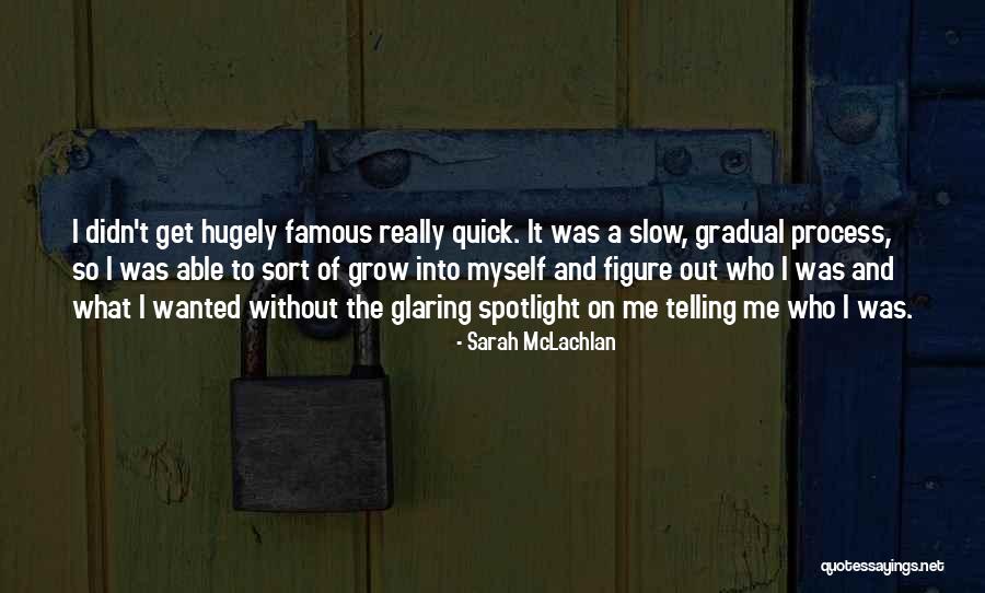 Seung Quotes By Sarah McLachlan Seung Quotes By Sarah McLachlan