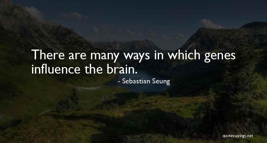 Seung Quotes By Sebastian Seung Seung Quotes By Sebastian Seung