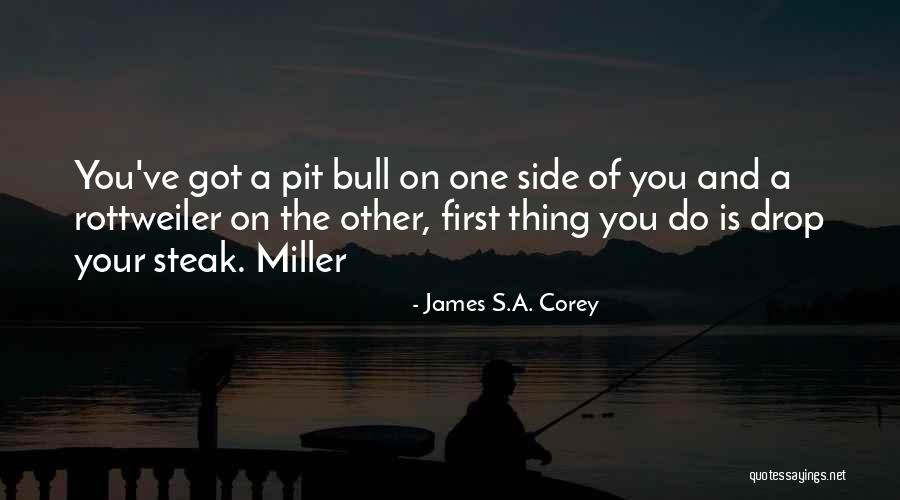 Sevani Skin Quotes By James S.A. Corey Sevani Skin Quotes By James S.A. Corey