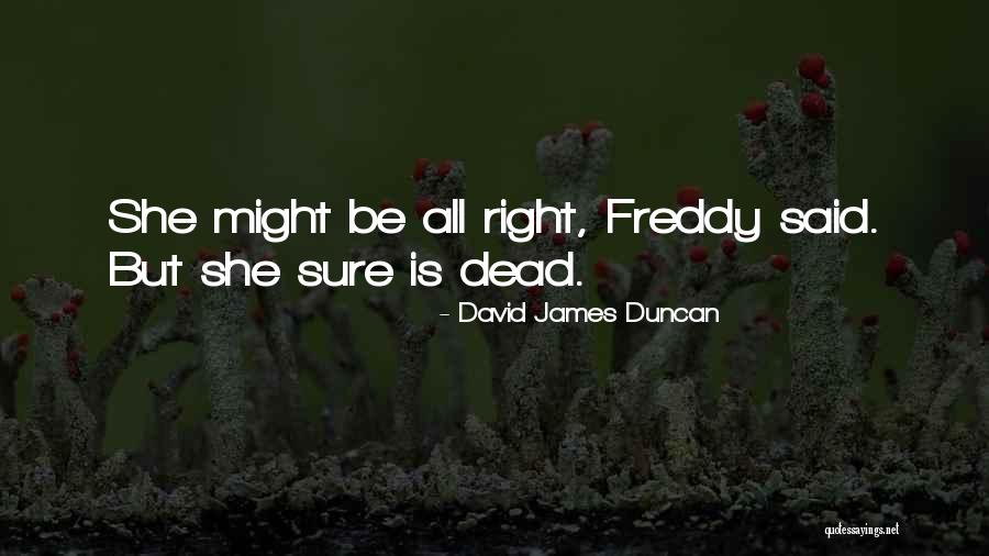 Sevareid Of The News Quotes By David James Duncan Sevareid Of The News Quotes By David James Duncan