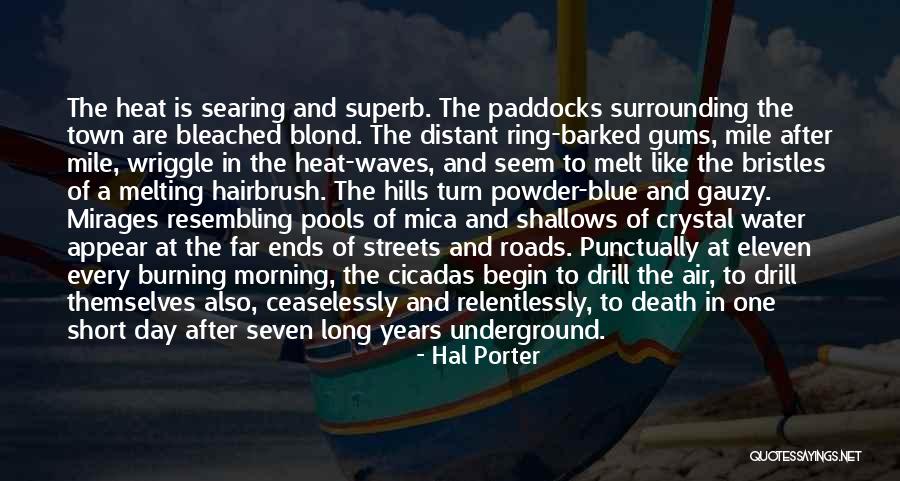 Seven Eleven Quotes By Hal Porter Seven Eleven Quotes By Hal Porter