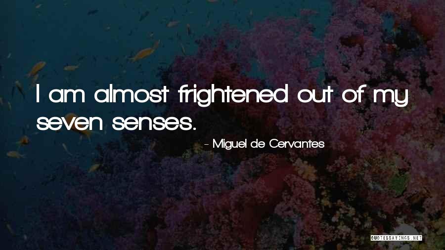 Seven Senses Quotes By Miguel De Cervantes Seven Senses Quotes By Miguel De Cervantes