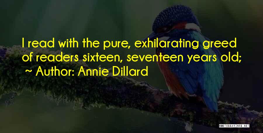 Seventeen Years Old Quotes By Annie Dillard