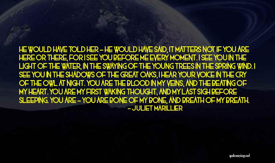 Sevenwaters Quotes By Juliet Marillier Sevenwaters Quotes By Juliet Marillier