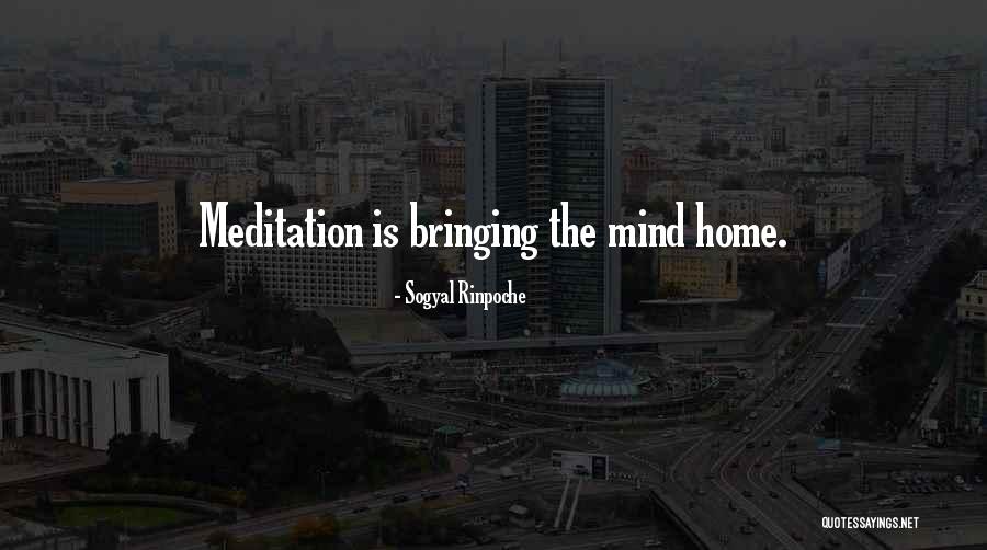 Severina Gola Quotes By Sogyal Rinpoche Severina Gola Quotes By Sogyal Rinpoche