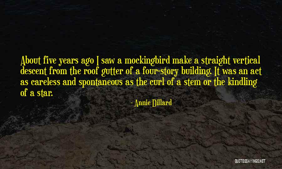 Sevillana Dancer Quotes By Annie Dillard Sevillana Dancer Quotes By Annie Dillard