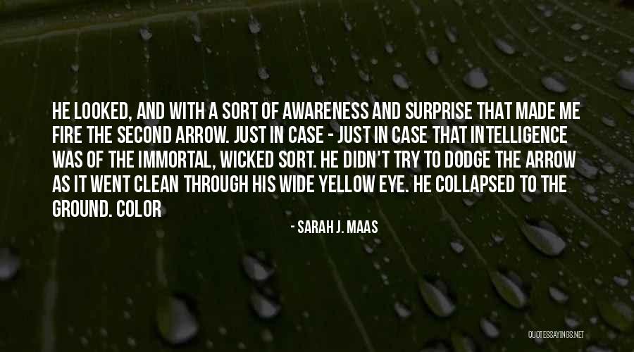 Sevmeyen Kadin Quotes By Sarah J. Maas Sevmeyen Kadin Quotes By Sarah J. Maas