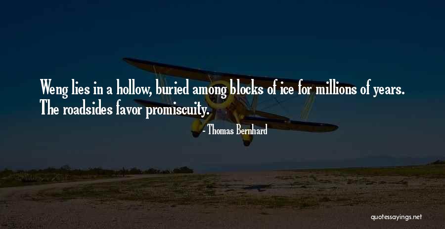 Sevmeyi Dene Quotes By Thomas Bernhard Sevmeyi Dene Quotes By Thomas Bernhard