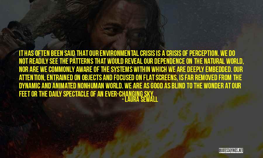 Sewall Quotes By Laura Sewall Sewall Quotes By Laura Sewall
