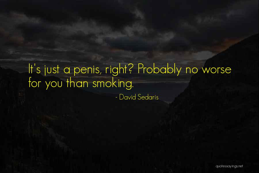 Sex And Smoking Quotes By David Sedaris Sex And Smoking Quotes By David Sedaris