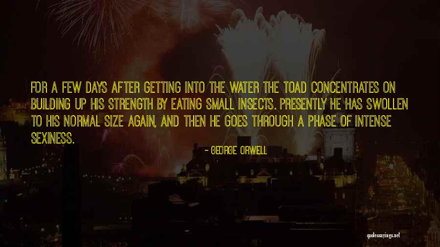 Sexiness Quotes By George Orwell