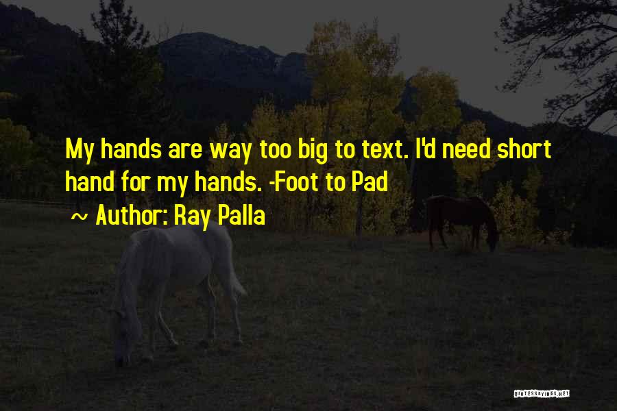 Sexting Quotes By Ray Palla