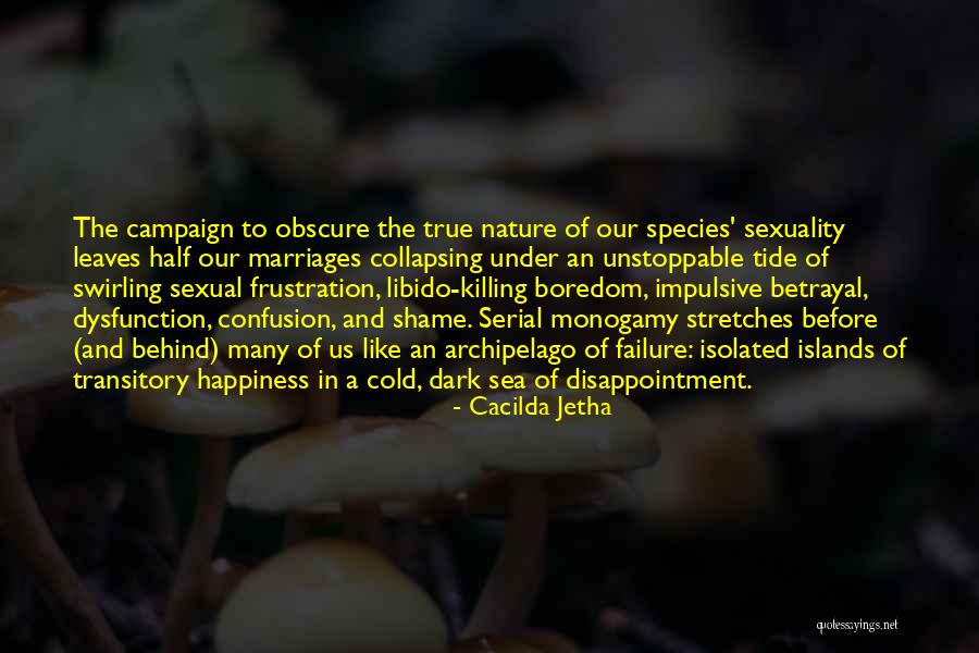Sexual Shame Quotes By Cacilda Jetha Sexual Shame Quotes By Cacilda Jetha