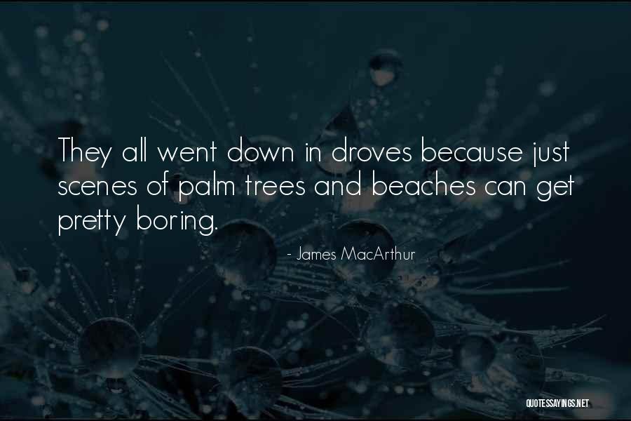 Sexualized Quotes By James MacArthur Sexualized Quotes By James MacArthur