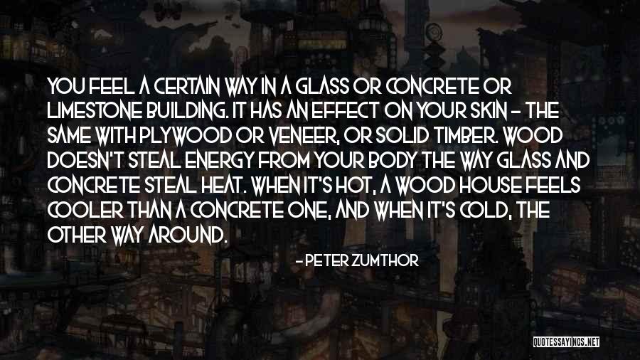 Seydelmann Wd Quotes By Peter Zumthor Seydelmann Wd Quotes By Peter Zumthor