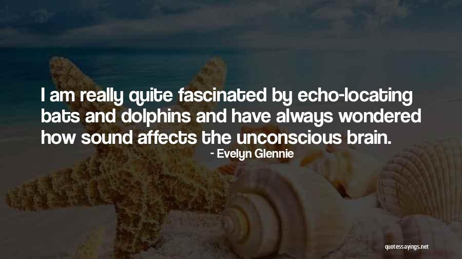 Seydlitz Aircraft Quotes By Evelyn Glennie Seydlitz Aircraft Quotes By Evelyn Glennie
