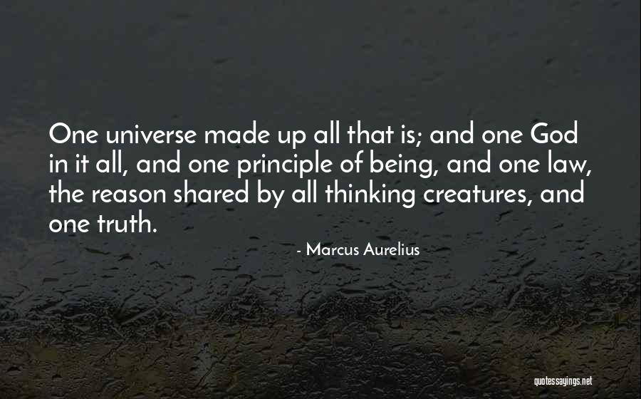 Seyfiye Quotes By Marcus Aurelius Seyfiye Quotes By Marcus Aurelius