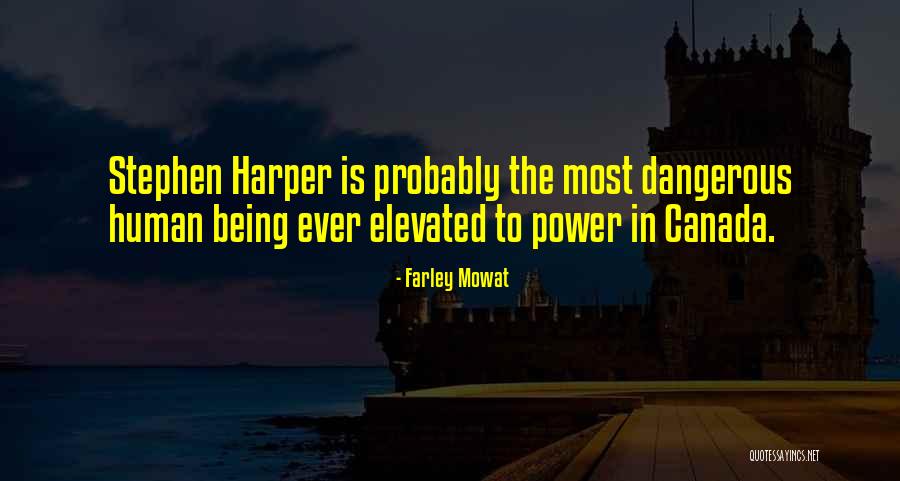 Seyfullah Ilahileri Quotes By Farley Mowat Seyfullah Ilahileri Quotes By Farley Mowat