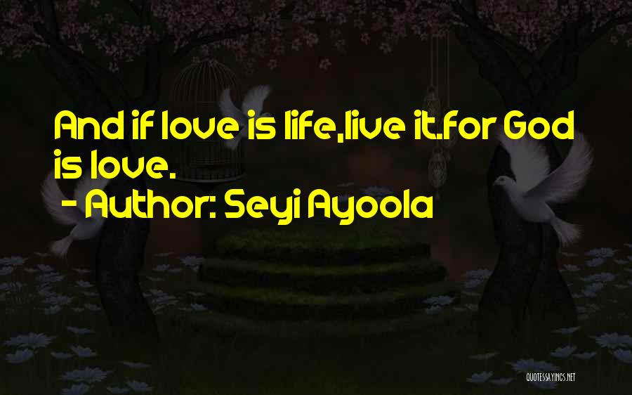 Seyi Ayoola Quotes 2078260