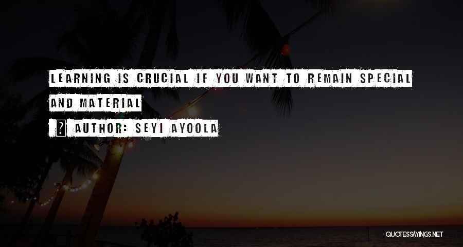 Seyi Ayoola Quotes 971947