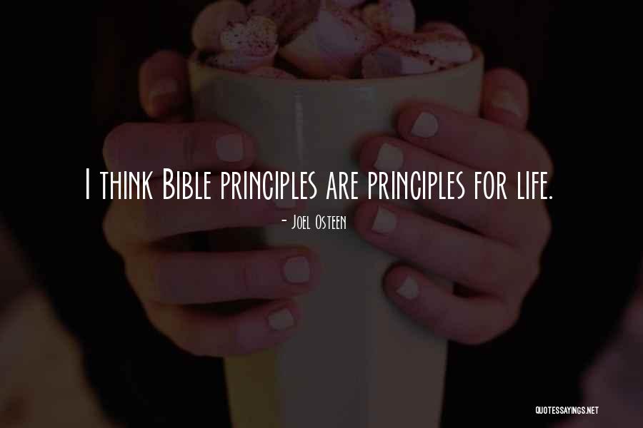Seyirler Quotes By Joel Osteen Seyirler Quotes By Joel Osteen