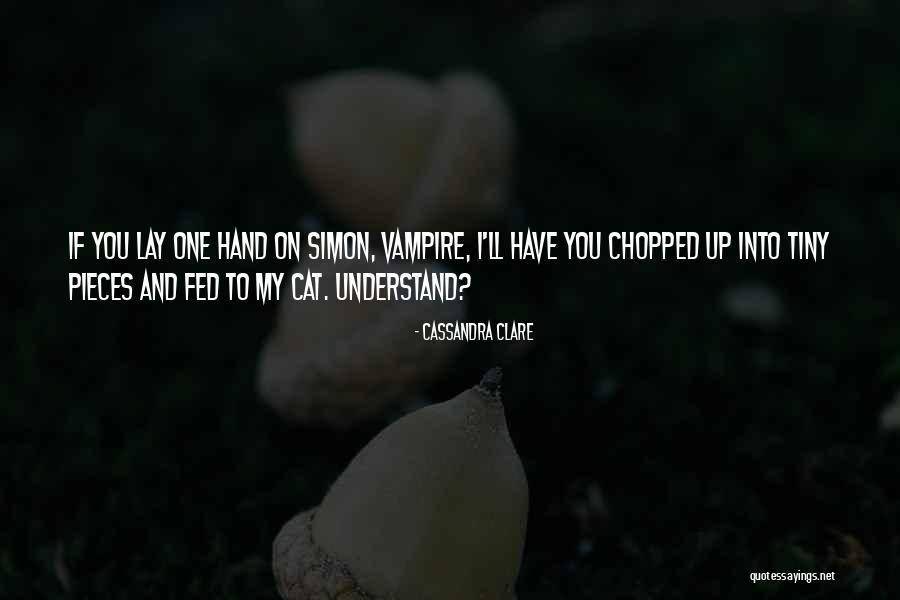 Seylin Quotes By Cassandra Clare Seylin Quotes By Cassandra Clare