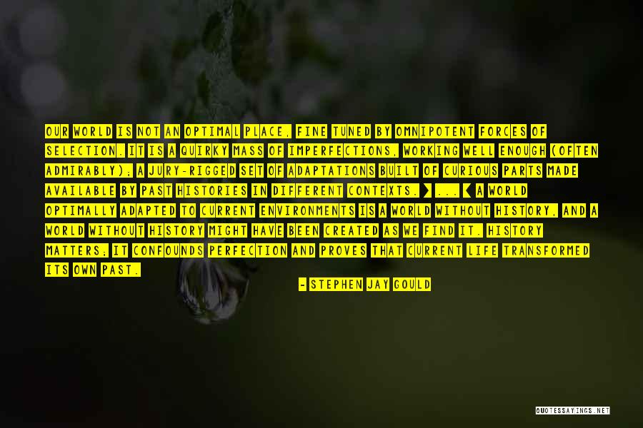 Seyller Financial Group Quotes By Stephen Jay Gould Seyller Financial Group Quotes By Stephen Jay Gould