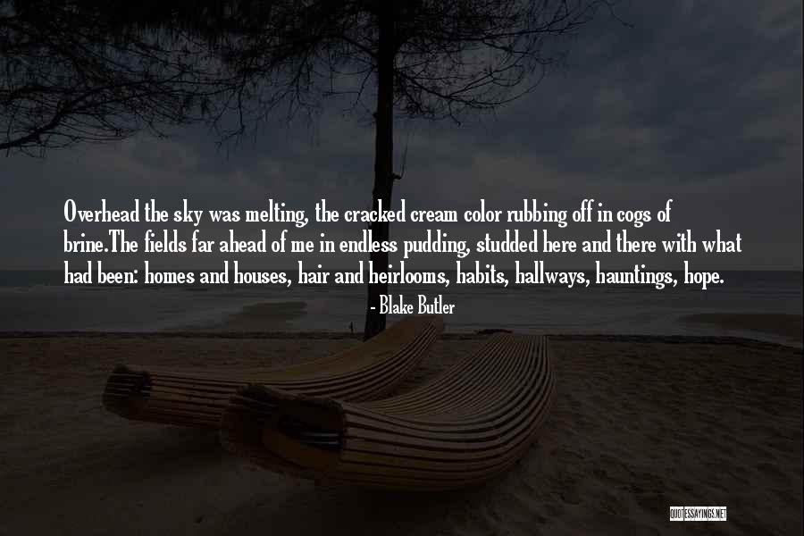 Seymour Design Quotes By Blake Butler Seymour Design Quotes By Blake Butler
