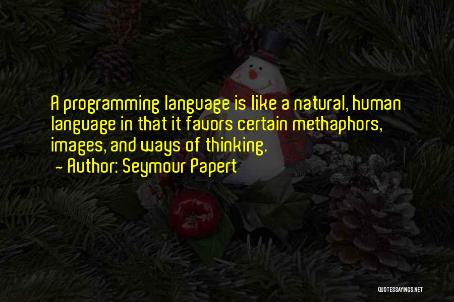 Seymour Papert Quotes 2262387