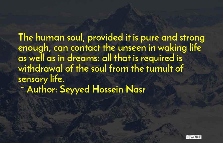 Seyyed Hossein Nasr Quotes 1341582