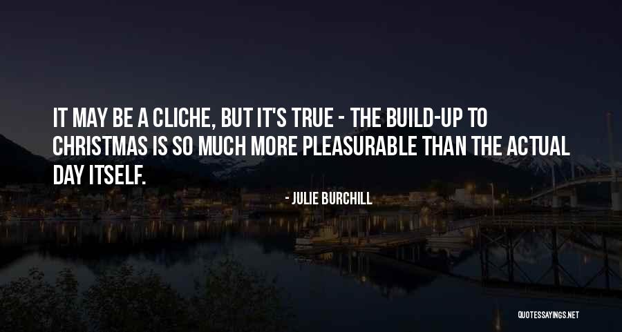 Sezgin Sezer Quotes By Julie Burchill Sezgin Sezer Quotes By Julie Burchill