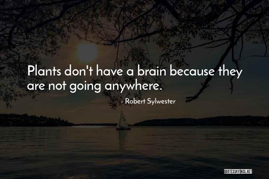 Sezibera Yararozwe Quotes By Robert Sylwester Sezibera Yararozwe Quotes By Robert Sylwester