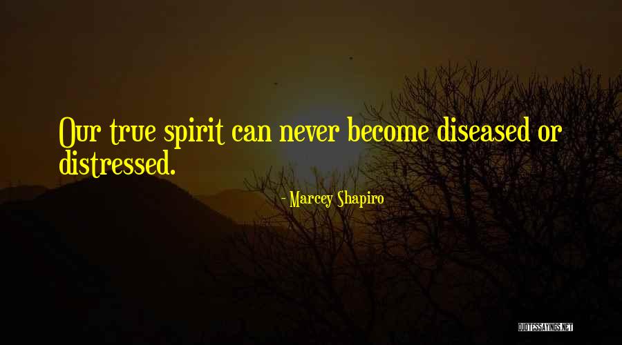 Sfacciata Quotes By Marcey Shapiro Sfacciata Quotes By Marcey Shapiro