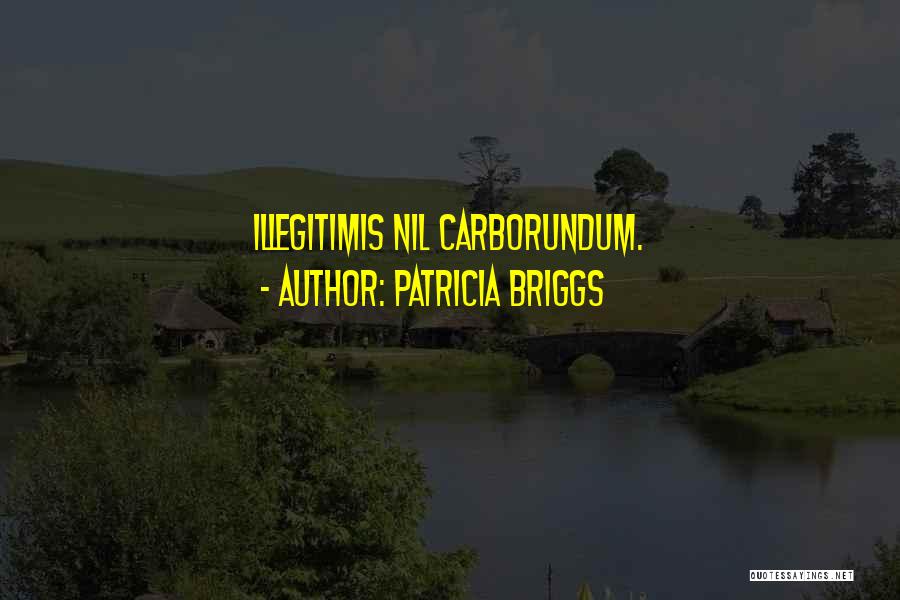 Sfacciataggine Quotes By Patricia Briggs